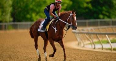 Mage Favorite For 2023 Preakness Stakes